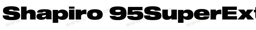 Shapiro 95SuperExtd字体转换 Shapiro 95SuperExtd字体转换